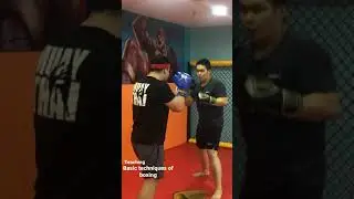 Pad work before boxing sparring