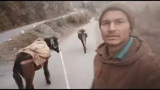 आज एक और न्यू घोड़ा खरीदा मैंने 👍👍🙏🙏🦄🦄