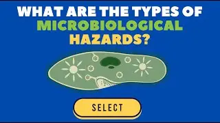 What are the types of microbiological hazards?