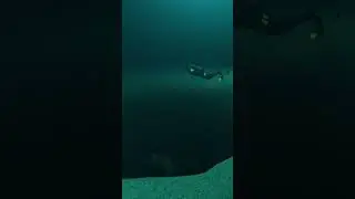 What If Kraken Existed
