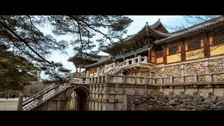 South-Korea Travelogue - Trip to Gyeongju & Seoul
