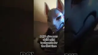 POV: give your child mint toothpaste for the first time#meme