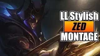 LL Stylish 