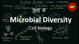 Microbial diversity in Hindi | Microbes in Hindi | Cell Biology | Basic Science Series