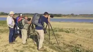 De Grensmaas 40km natuurschoon in Nederland