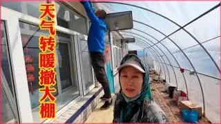 天气转暖，娘仨撤大棚，秋天费劲安，春天费劲撤，农村的生活状态