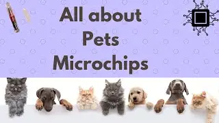 All about Pets Microchips | dog microchip | Benefit | Removal