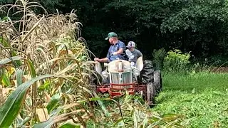 Mowing Corn Stalks with @Little NC Farmer using a 1952 Ford 8N and John Deere No.3 Mowing Machine