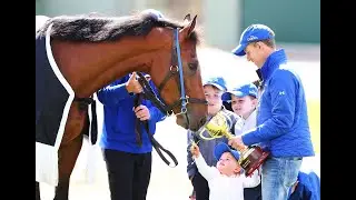 MELBOURNE CUP WINNER'S CHEEKY PERSONALITY IN RETIREMENT