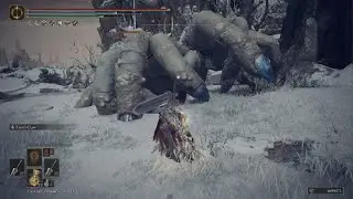 ELDEN RING - Giant Fingercreeper NG+7