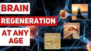 How to Restore and Enhance Brain Function by Activating the Pineal Gland