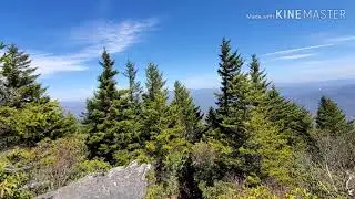 Woody Ridge Trail to the Black Mountain Crest Trail,NC.
