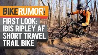 First Look! Ibis Ripley AF mountain bike