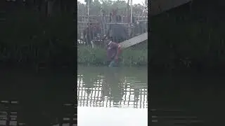 MISI MENYELEMATKAN IKAN YANG TERSANGKUT