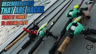 Приманки, которые нужно забросить в декабре 2025 года для ловли крупного окуня