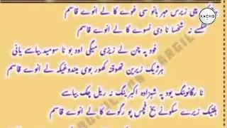 balti noha lyric | SHAHZADA QASIM | 1447