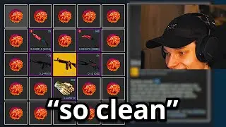 this is the most organized csgo inventory ever...