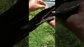 HEAVY METAL FINDS IN CHEMUNG RIVER &ndash; A Magnet Fisher's Dream in Corning, New York #scrapmetal #fyp