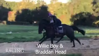 Willie Boy & Braddan Head on the gallops 27th Sept 2018