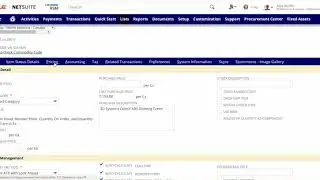 NetSuite Inventory Item Record Overview Demo
