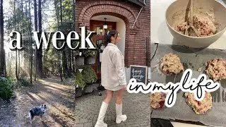 A Week In My Life | trying new recipes and makeup // Newveber week 4