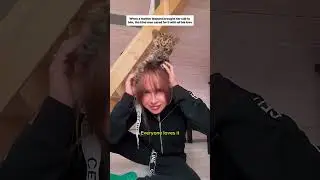 Усыновил слабого маленького детеныша леопарда у его матери #леопард #историялюбви #дружбасживотны...