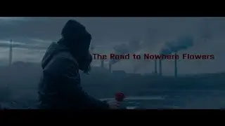 The Road to Nowhere Flowers