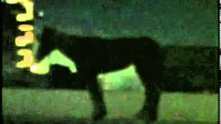 a. sala - time after time (2003)