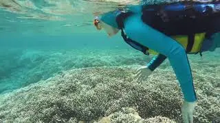 Sangalaki Island