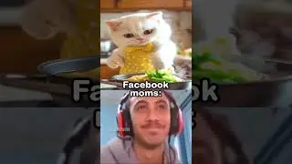 AI Facebook Brainrot