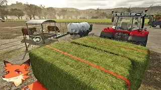 Farming Simulator 25 #11 [FR] Je lance dans l'élevage de bétail! Et les premiers mods!