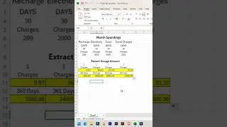 Monthly Budget Management MS Excel