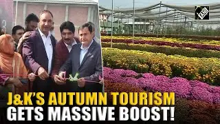 J&K Agriculture Minister inaugurates Chrysanthemum festival at SKUAST to boost autumn tourism
