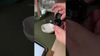 #the art of preparing a calligraphy brush with ink