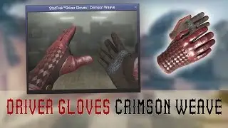★ Driver Gloves Crimson Weave | In-Game Preview