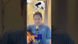 Anko Condenser Mic in New Zealand #anko #Ankomicrophone #affordablemic