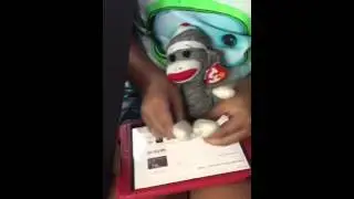 Whip Ne Ne Sock Monkey