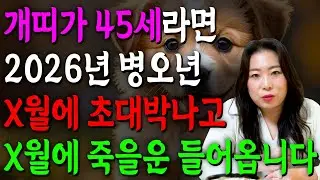 개띠 정말 미쳤다!! 2026년 1982년생 45세 개띠운세 배신당했던 모든날을 보답받습니다! X월에 태어났다면 무조건 대박이다!! 2026년 병오년 대박나는 82년생 개띠 운세