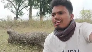 Daily vlogs || village life #vlog 