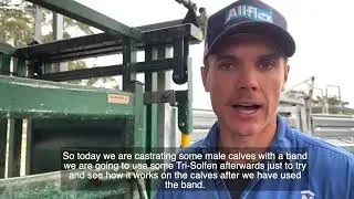 Tri-Solfen&reg; used for pain relief at Macka's Beef
