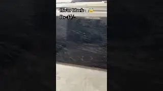 Rivar black granite 🙏🏻😇 #black #rivar #granite #marble #granitetiles #rajasthan #kishangarh