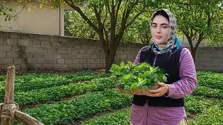 🌿🧄«The dish rich in VITAMIN and IRON  that you can eat for breakfast, lunch, or dinner»