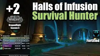 +2 Halls of Infusion | Survival Hunter POV | 239,1K DPS | Dragonflight Season 4