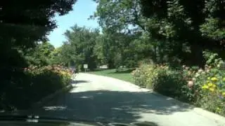 MOV01367
