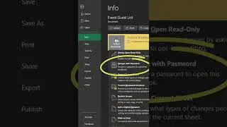 How to remove your password in Excel! #password #passwordprotected #sheets #exceltips #exceltutorial