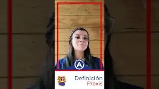 Definici&oacute;n Praxis