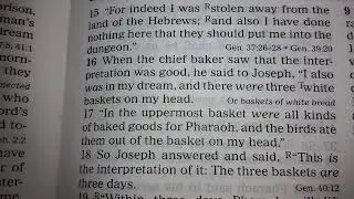 Genesis 39 and 40 Matthew 11
