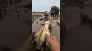 Hands Breaking Suction in a Narrow Mud Channel