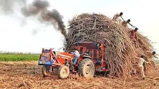 MF 385 vs Al-Ghazi 65HP | Ultimate Power Test & Comparison! 🔥 @NaeenTractors786 
