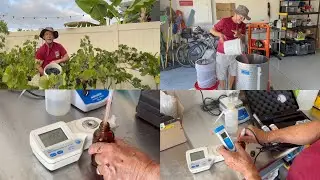 My Backyard Vineyard: Season 3: Episode 11: First Harvest & Press